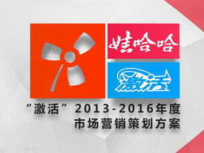 激活品牌新動(dòng)能 娃哈哈2013-2016年度市場營銷戰(zhàn)略規(guī)劃